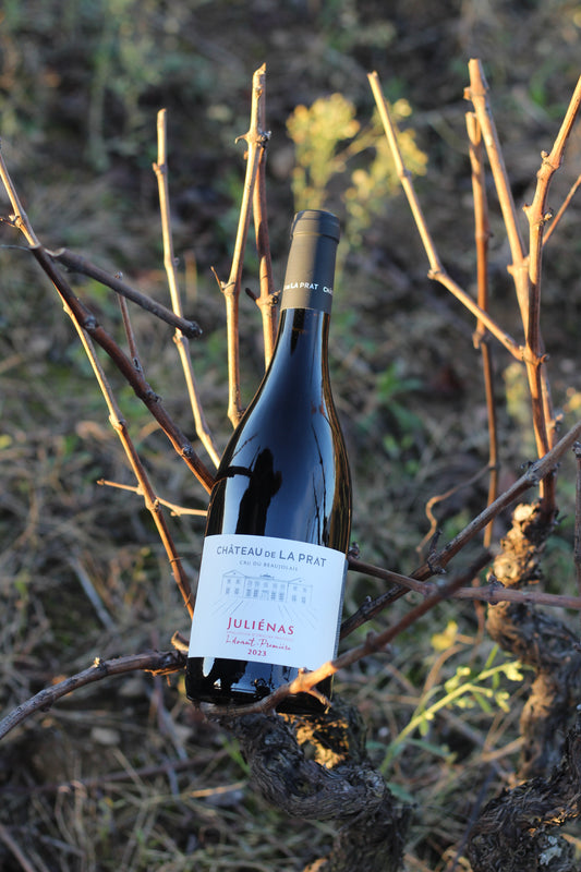 Juliénas "L'avant première" 2023