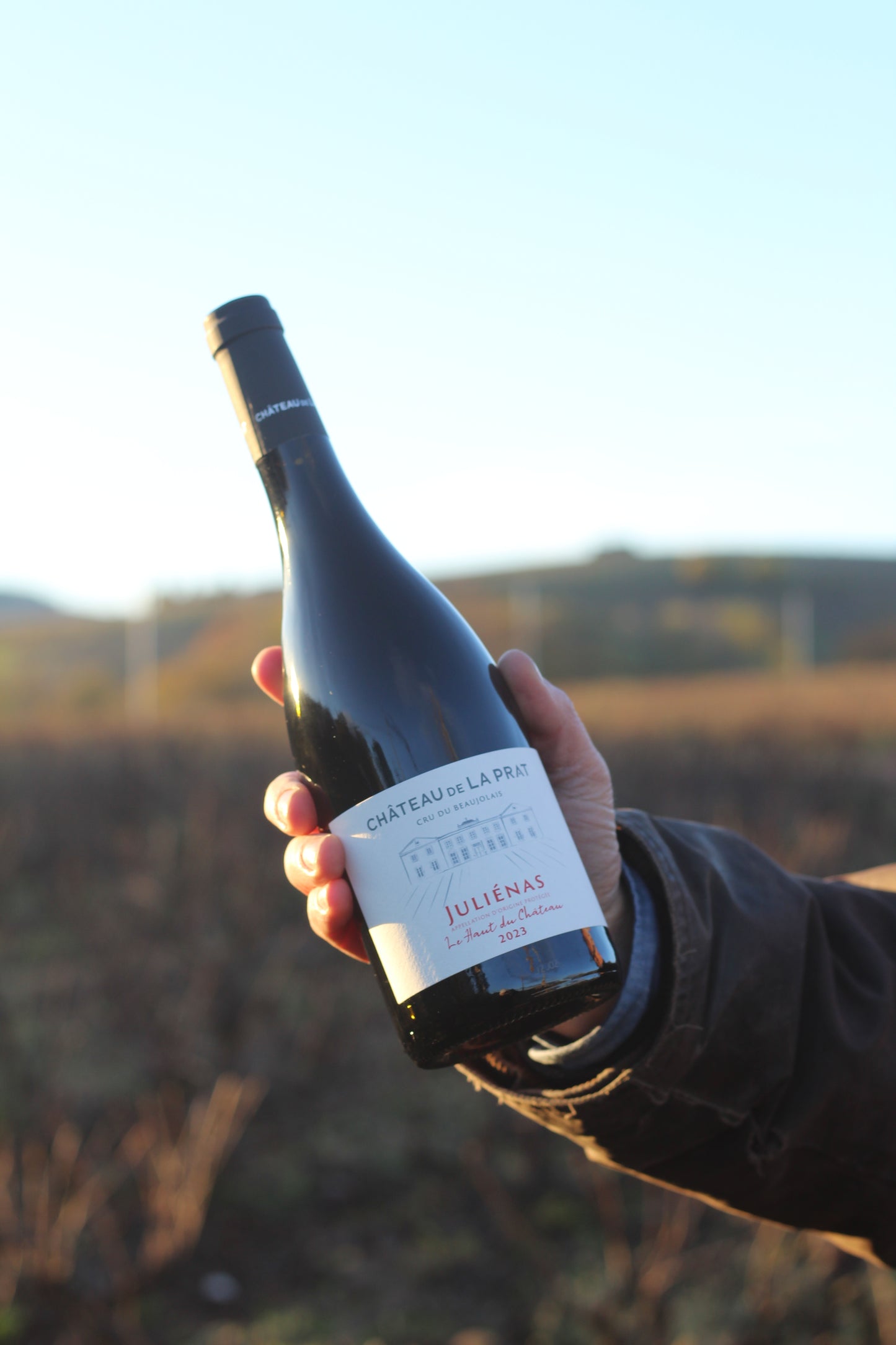 Juliénas "Le haut du Château" 2023