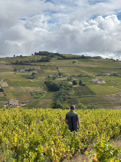 Juliénas "L'avant première" 2024